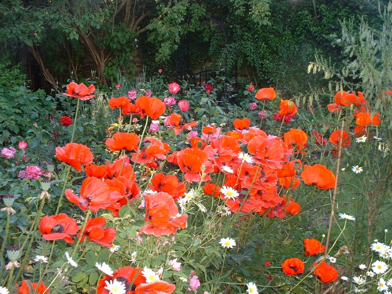 Crook Hall & Gardens